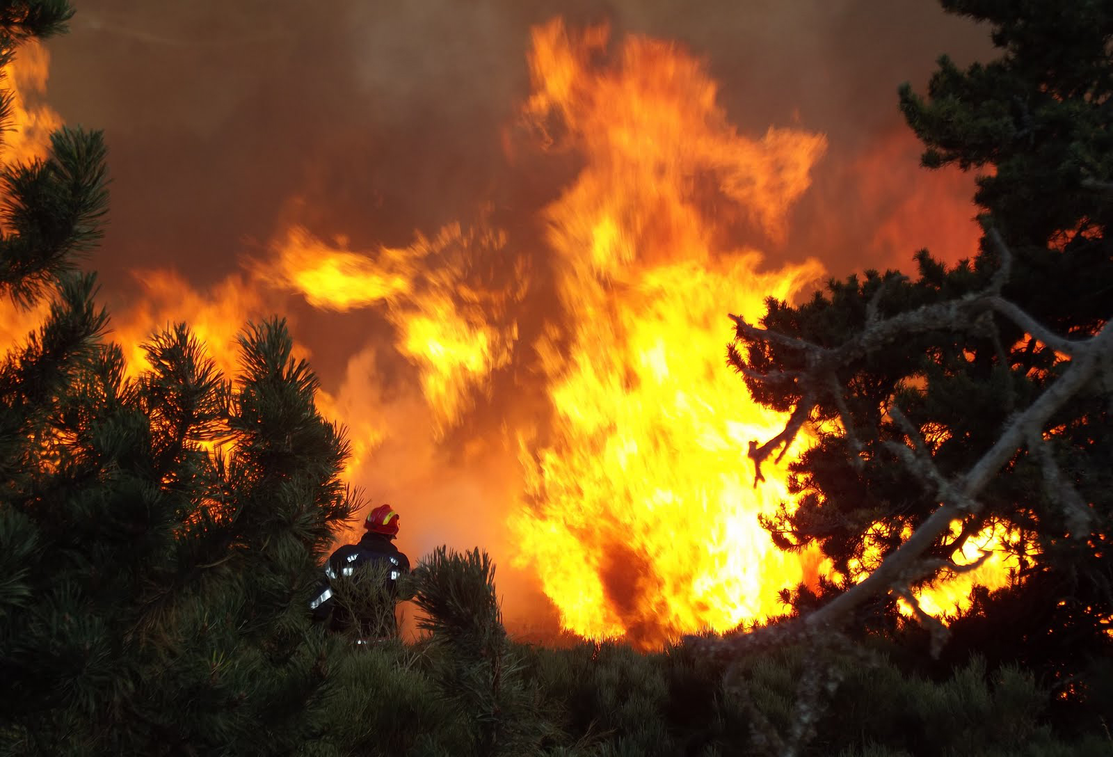 Incendie à Banyuls-sur-Mer, Roussillon, septembre 2019 © SDIS 66